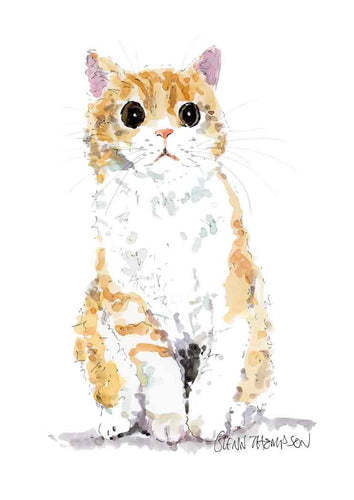 Ginger tabby  cat print from Belfast Artist Glenn Thompson