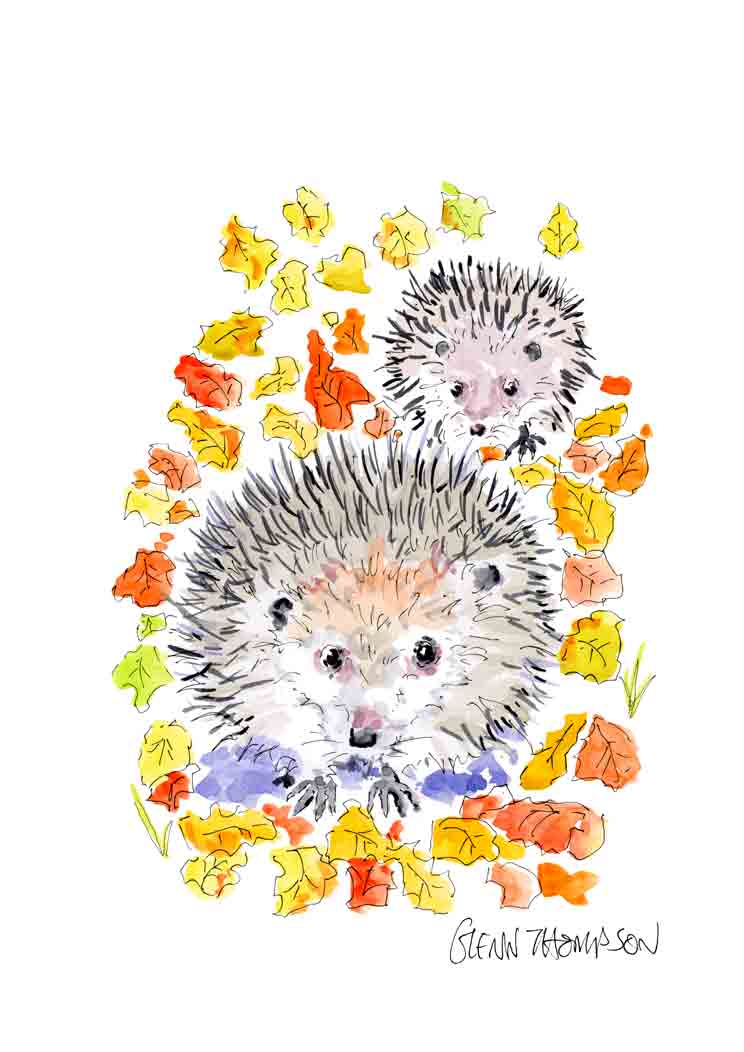 Two hedgehogs from Belfast artist Glenn Thompson