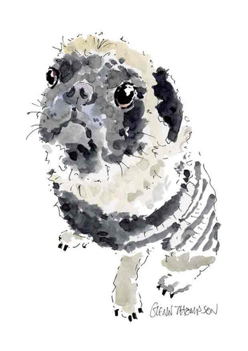 Pug in a jumper print from Belfast Artist Glenn Thompson