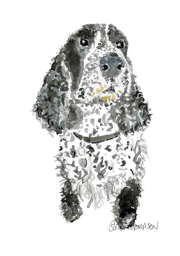 Black and White Spaniel print from Belfast Artist Glenn Thompson