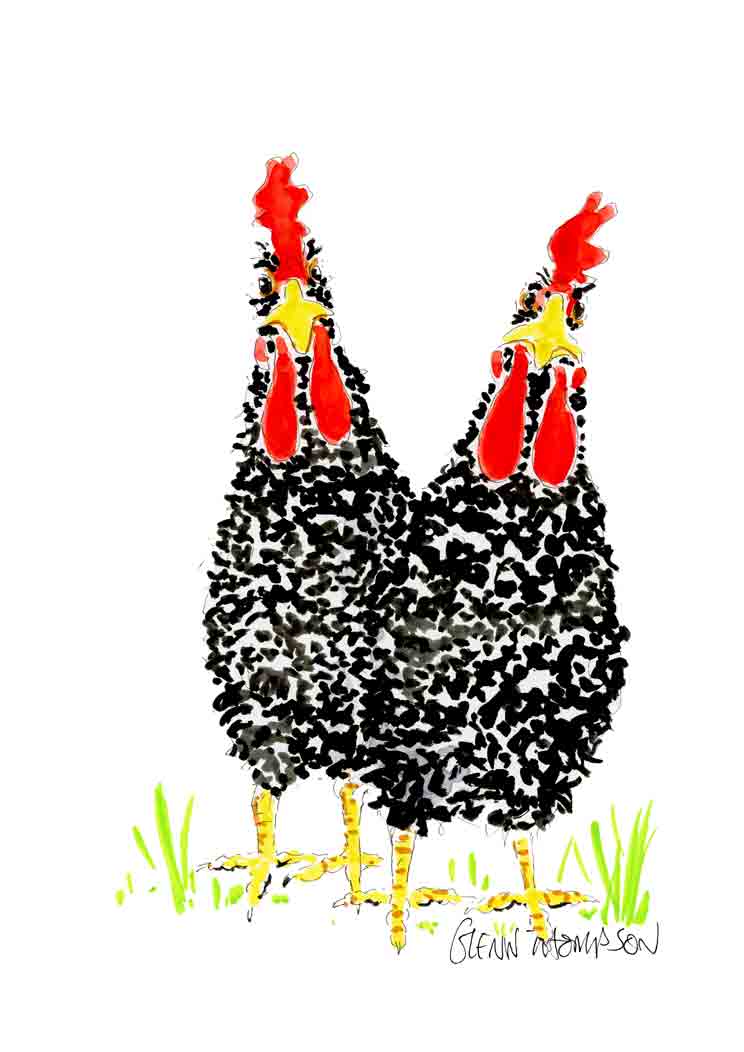 Two chickens print from Belfast based artist Glenn Thompson