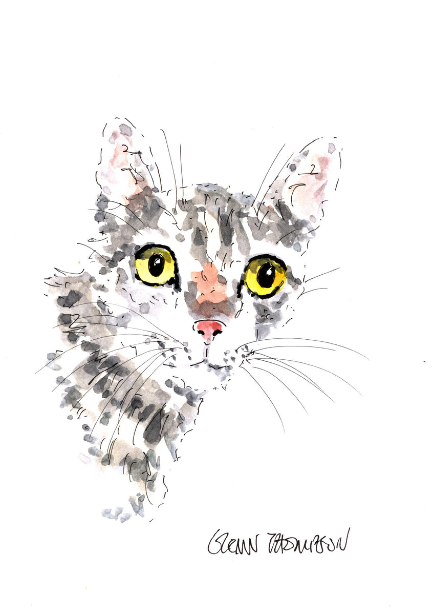 Tabby cat with yellow eyes #1P – Glenn Thompson Art